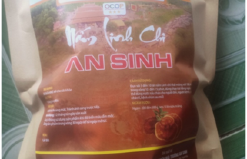 Nấm linh chi An Sinh