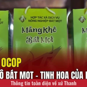 Măng khô Bát Mọt: Đặc sản núi rừng chinh phục thực khách