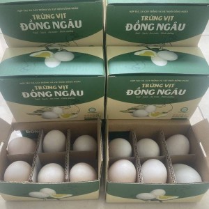 Trứng vịt Đồng Ngâu xã Nam Giang