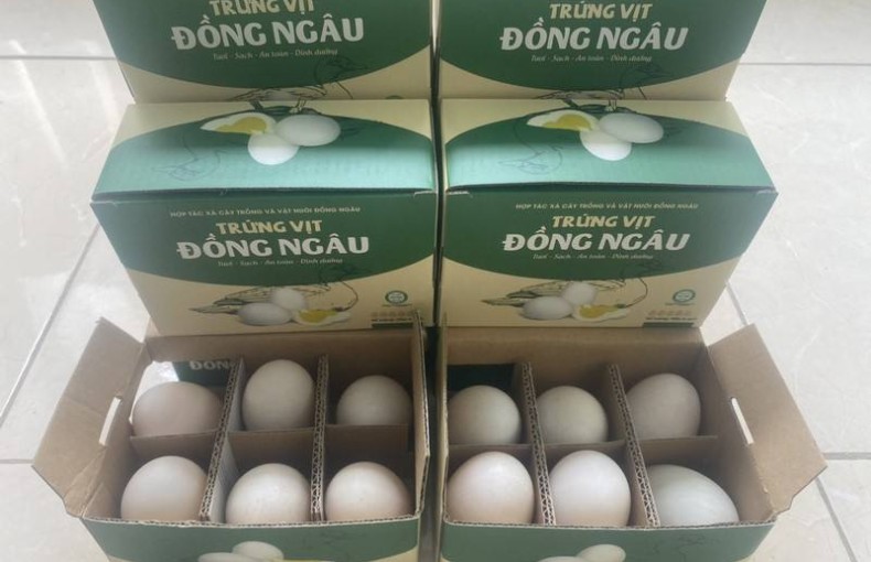 Trứng vịt Đồng Ngâu xã Nam Giang