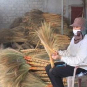 Nghề đan chổi đót ở xã Thọ Bình