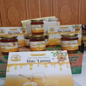 Mật Ong Hoa Rừng Đức Lương