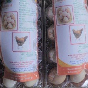 Trứng gà đồi Tân Lập: Sản phẩm nông nghiệp an toàn